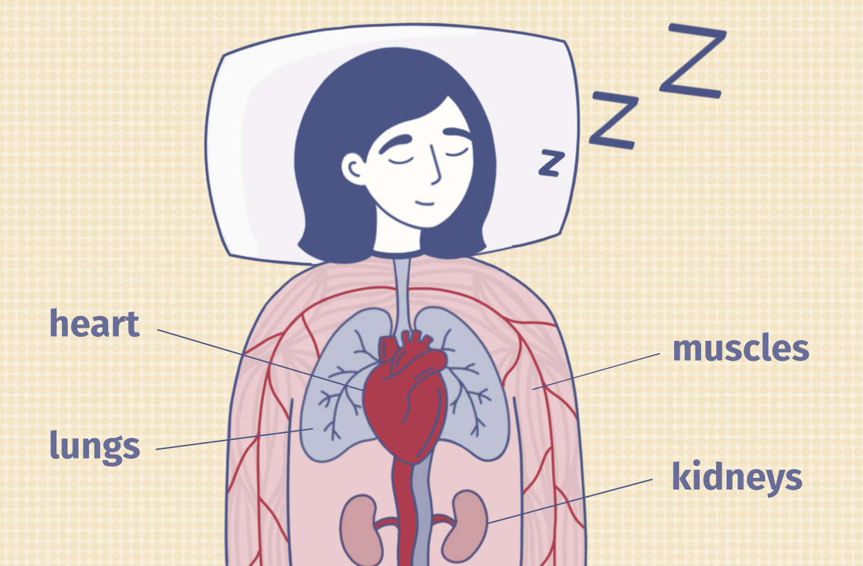 How the WalkerFit M6 Ultra Tracks Your Autonomic Nervous System