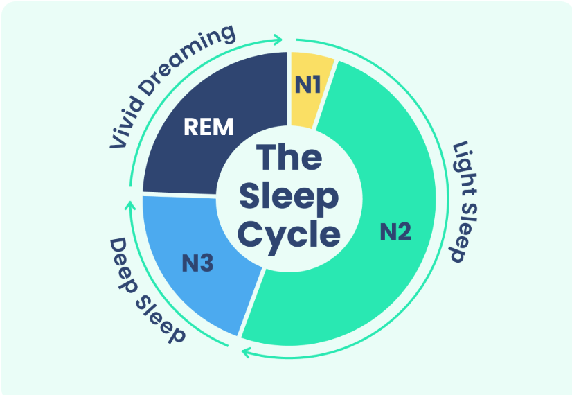 How Much Deep Sleep Should I Get? WalkerFit’s Accurate Sleep Tracking Revealed